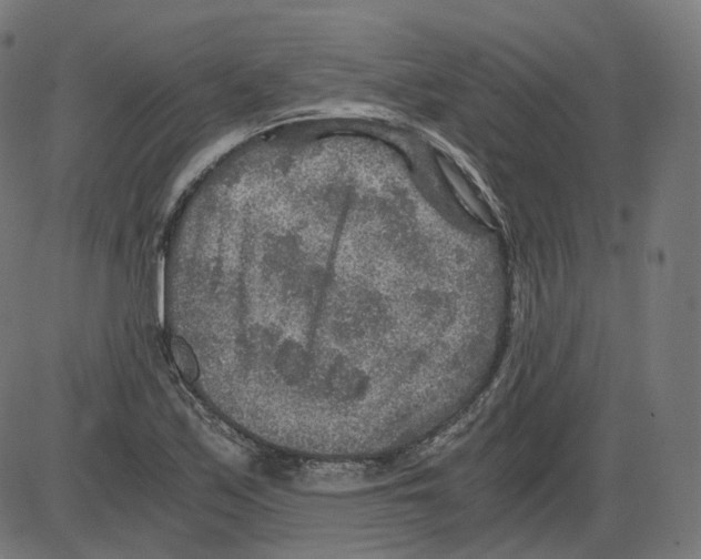 X0000084031171200703161758