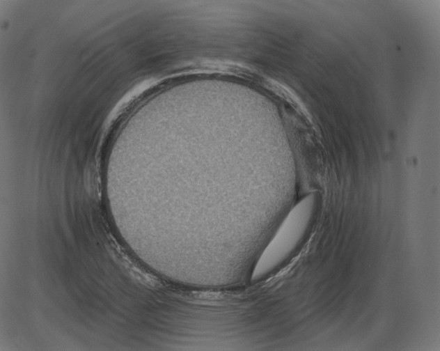 X0000084031172200703161758