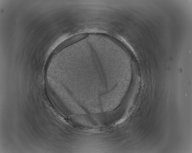 X0000084031173200703161758