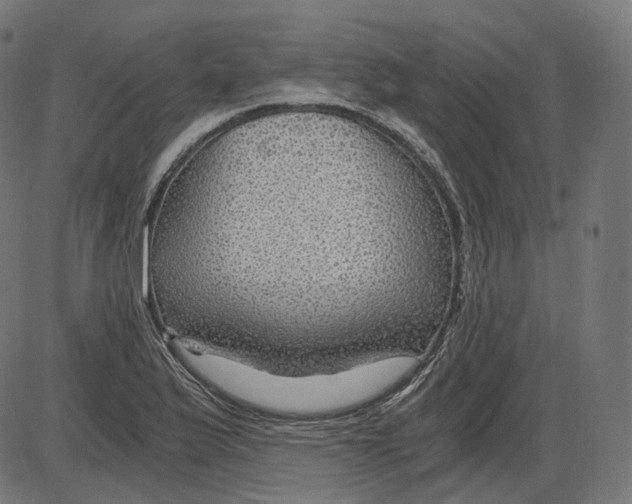 X0000084031175200703161758