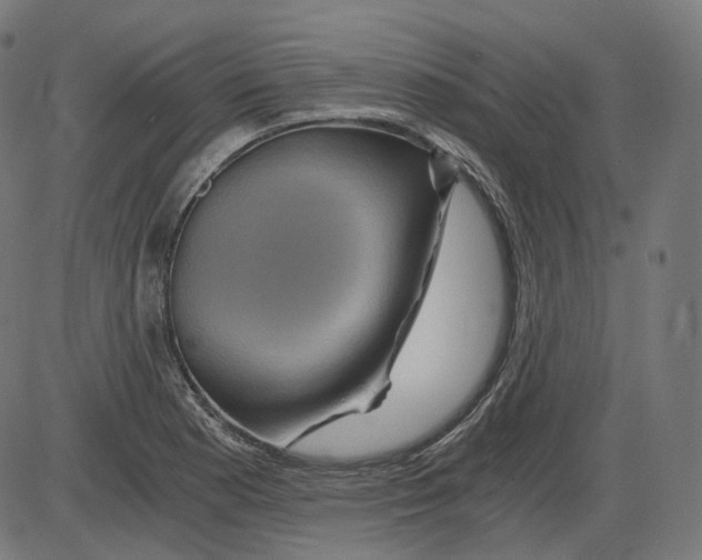 X0000084031177200703161758