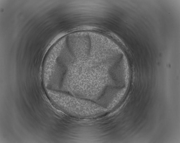 X0000084031178200703161758