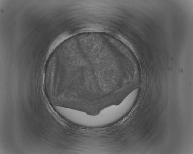 X0000084031179200703161758