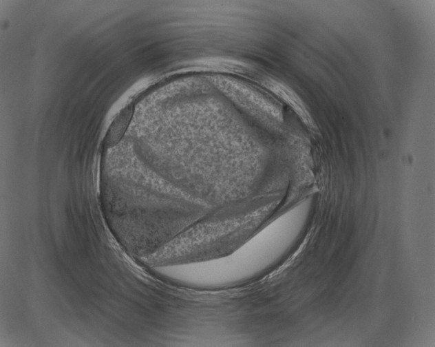 X0000084031180200703161758