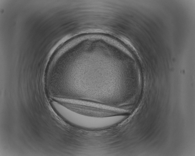 X0000084031181200703161758