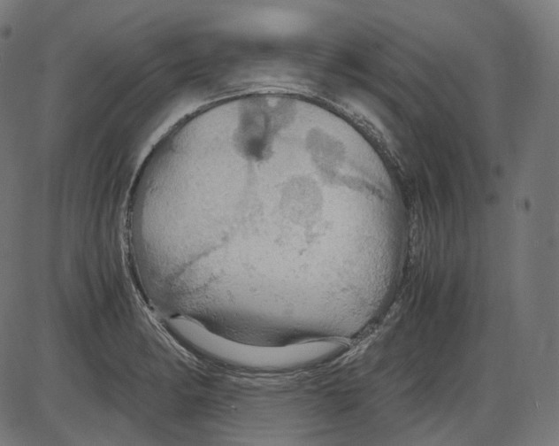 X0000084031182200703161758