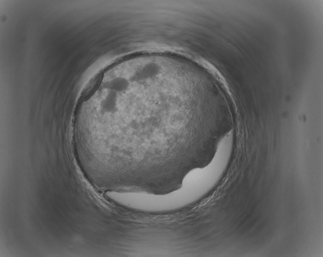 X0000084031183200703161758