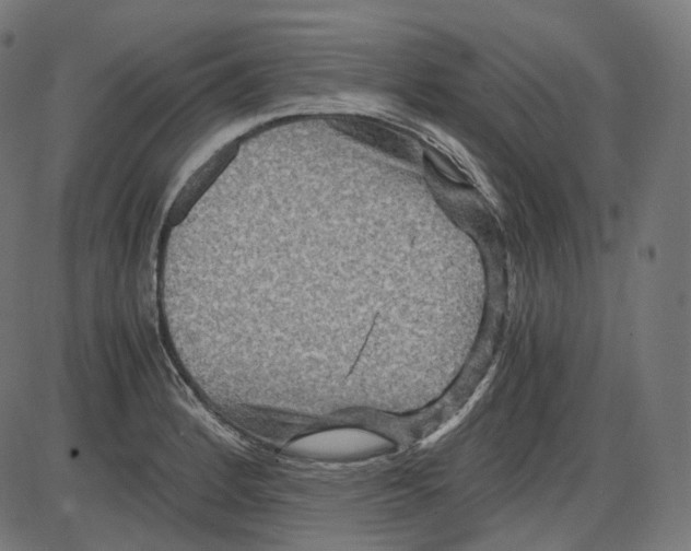 X0000084031184200703161758