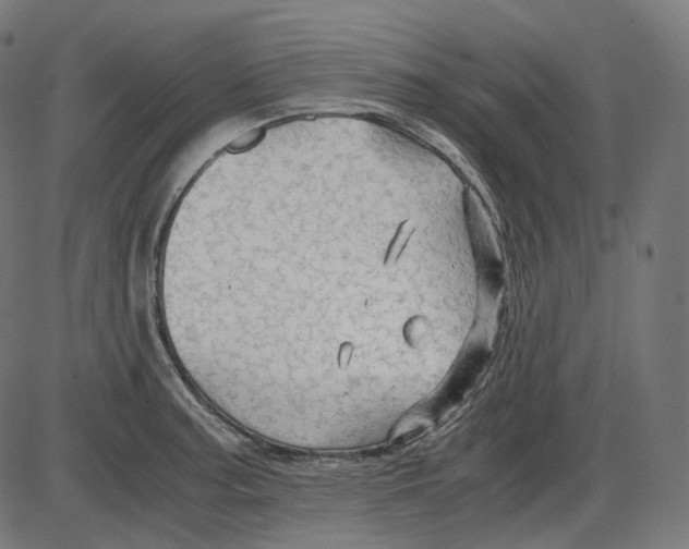 X0000084031187200703161758