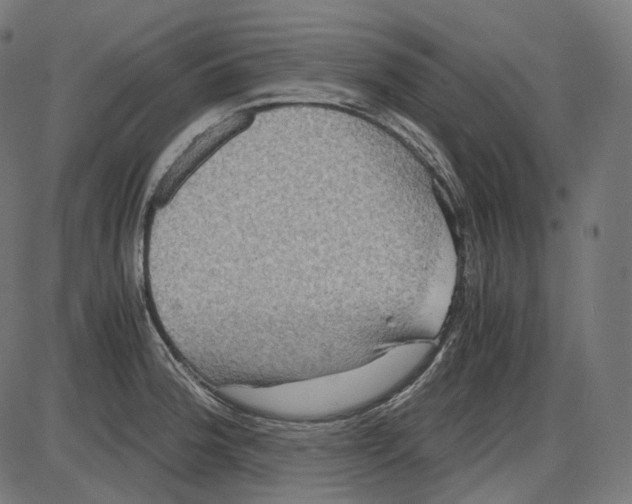 X0000084031188200703161758