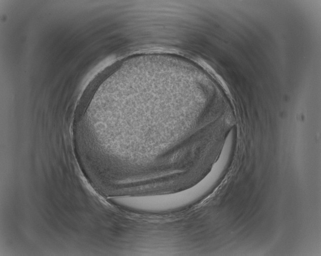 X0000084031189200703161758