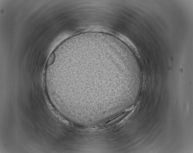 X0000084031190200703161758