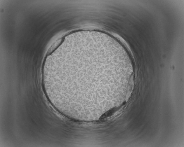 X0000084031191200703161757