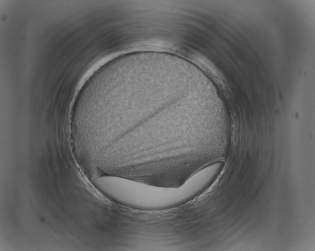 X0000084031192200703161757