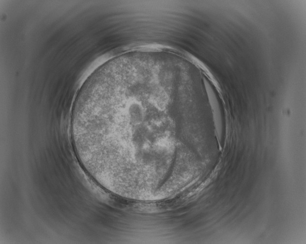 X0000084031194200703161757