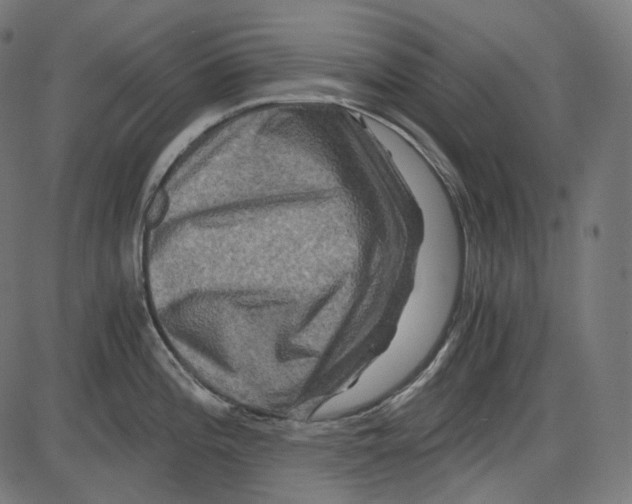 X0000084031196200703161757