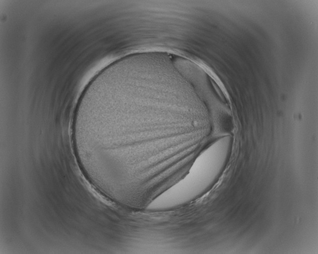 X0000084031197200703161757