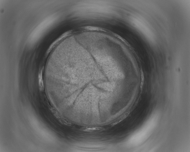 X0000084031198200703161757