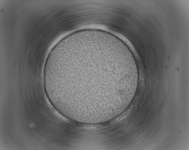 X0000084031199200703161757