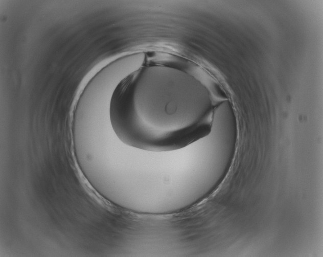 X0000084031200200703161757