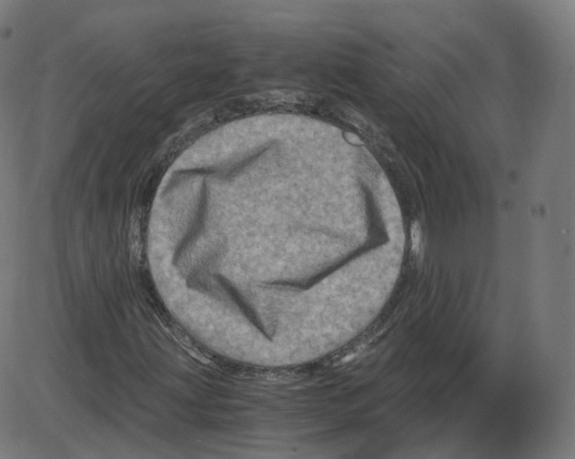 X0000084031203200703161757