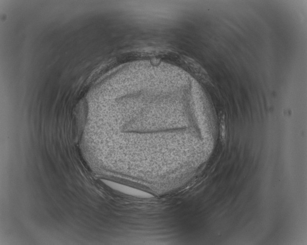 X0000084031204200703161757