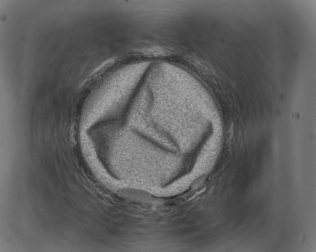 X0000084031205200703161757