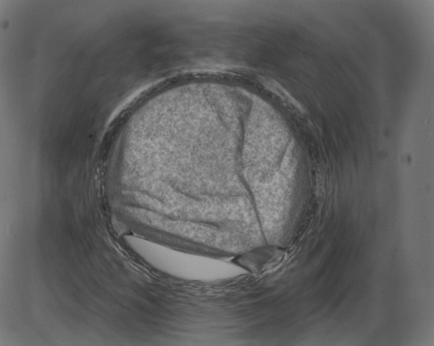 X0000084031208200703161757