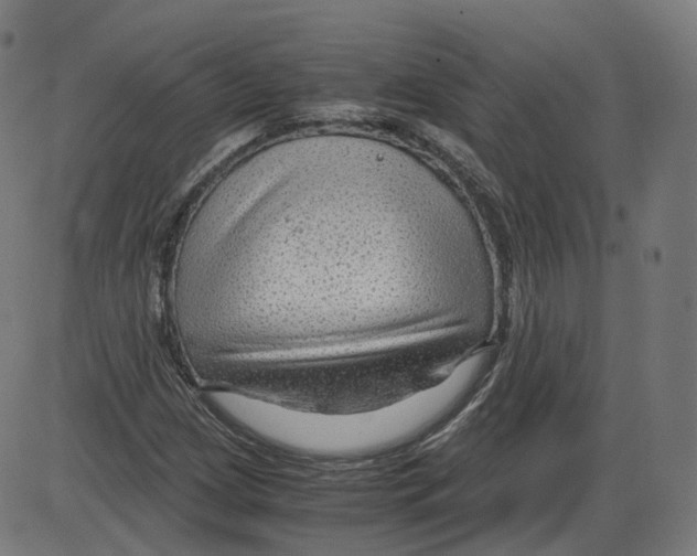 X0000084031209200703161757