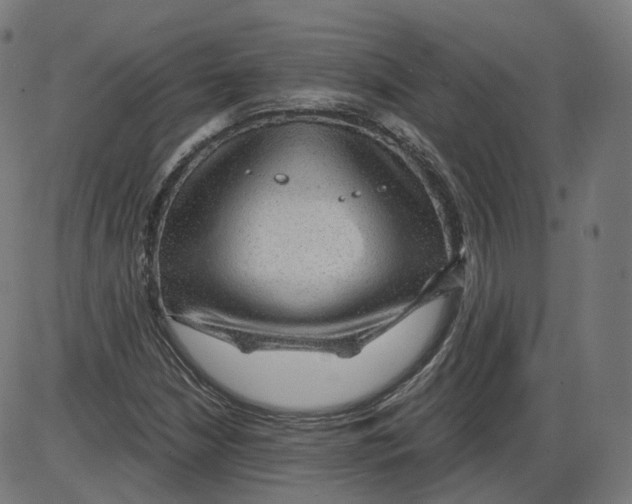 X0000084031210200703161757