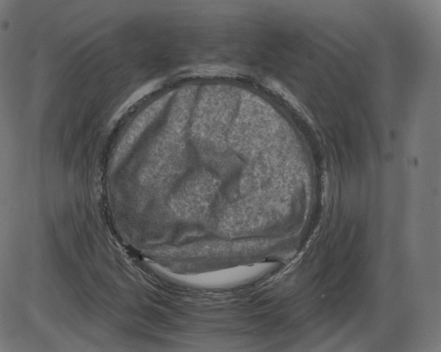 X0000084031213200703161757