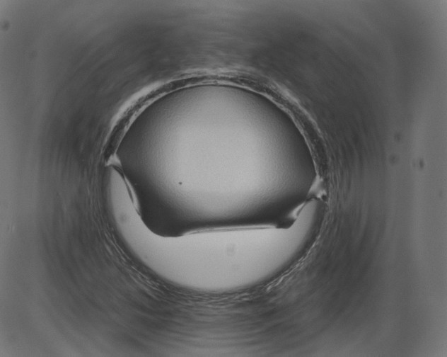 X0000084031214200703161757