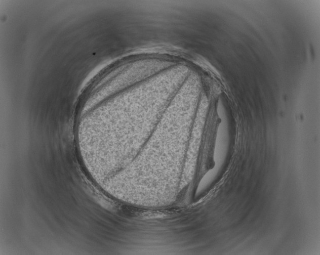 X0000084031216200703161757