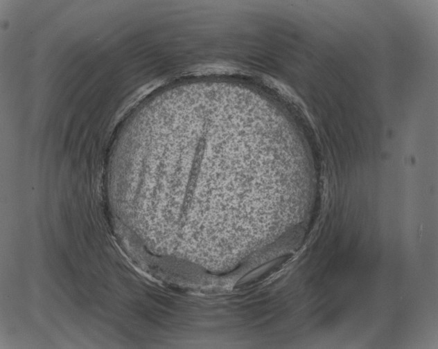 X0000084031217200703161757