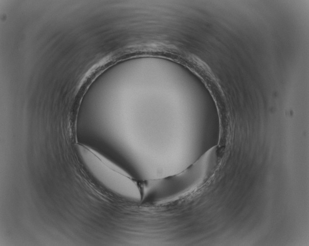 X0000084031218200703161757