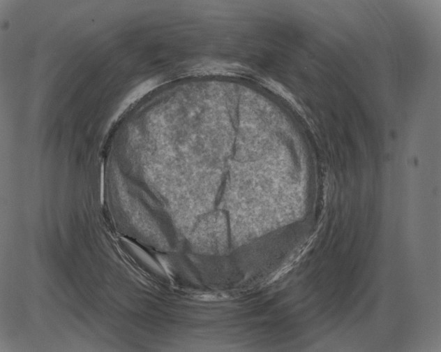 X0000084031219200703161757