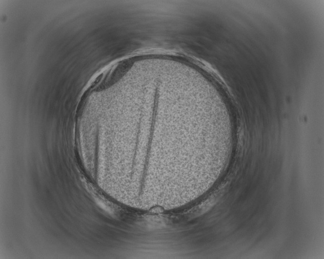 X0000084031220200703161757