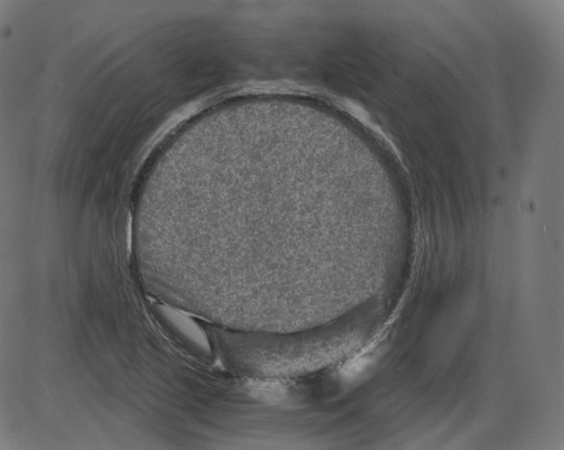 X0000084031221200703161757