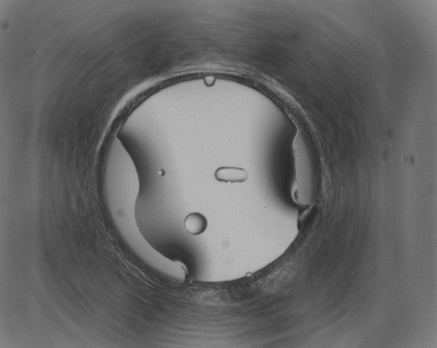 X0000084031222200703161757