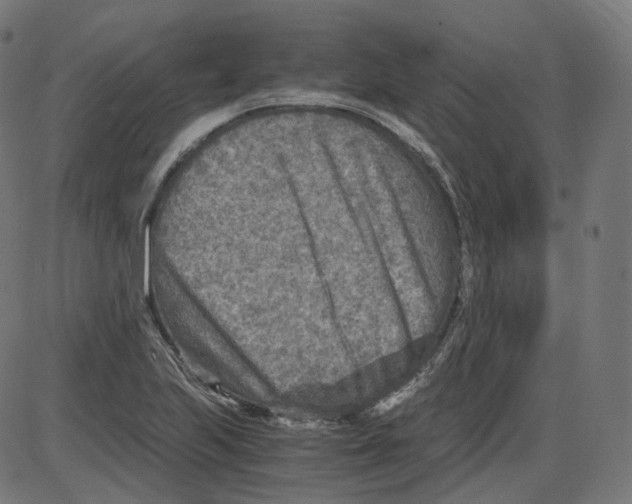 X0000084031223200703161757