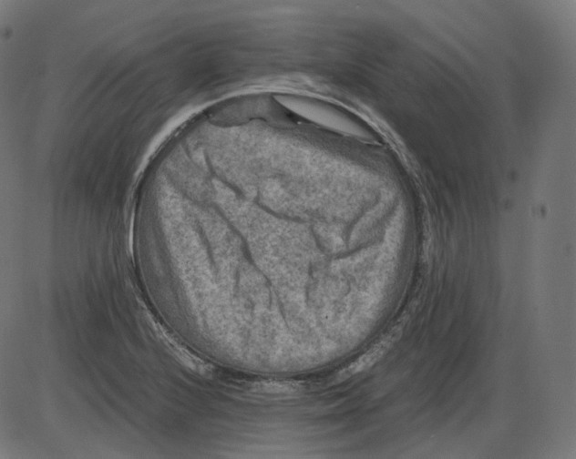 X0000084031224200703161757