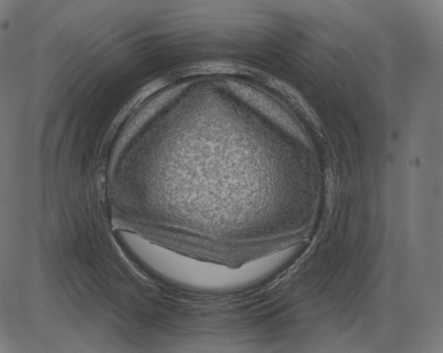 X0000084031225200703161757