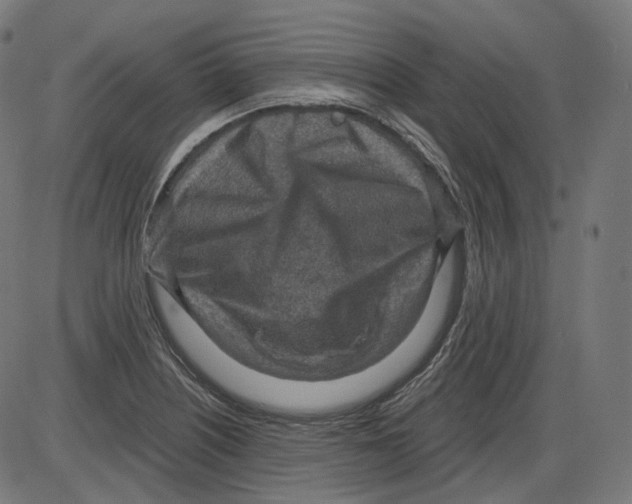 X0000084031226200703161757