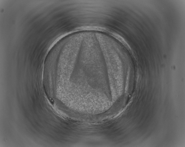 X0000084031228200703161757