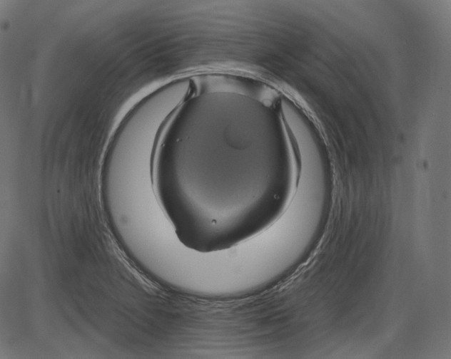 X0000084031230200703161757