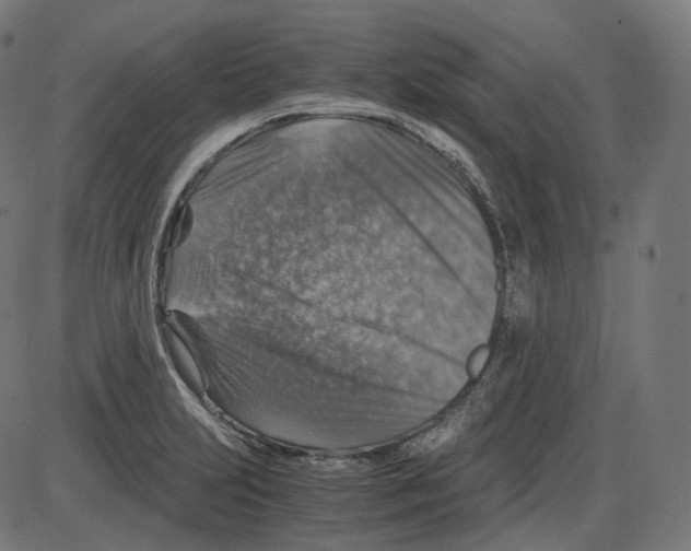 X0000084031231200703161757