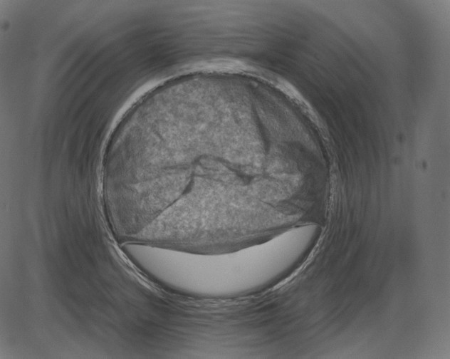 X0000084031232200703161757