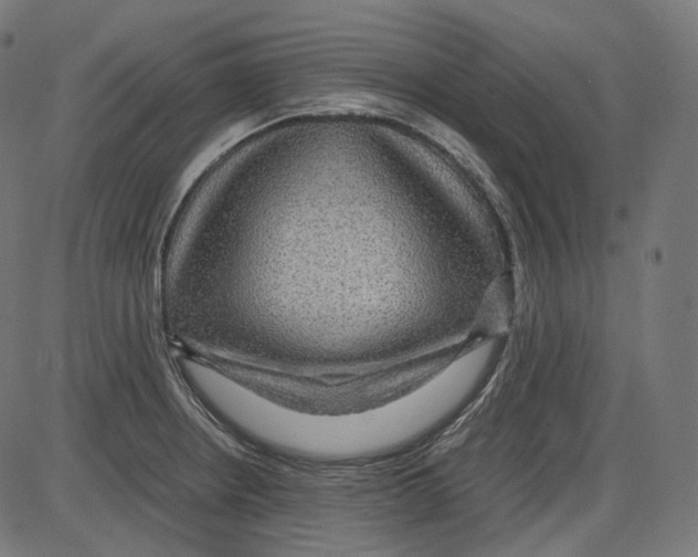 X0000084031234200703161757