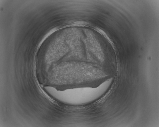 X0000084031235200703161757