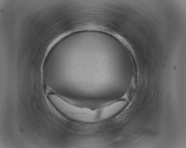 X0000084031238200703161757